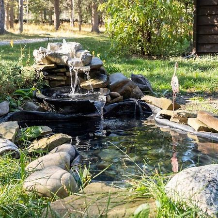 Rustic Cozy Cabin With Hot Tub Bragg Creek Bagian luar foto